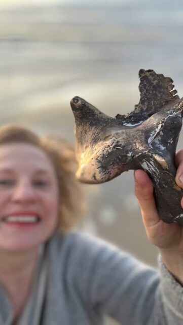 À Ault, où la baie de Somme embrasse les falaises normandes, je photographie “Victoire” face aux vagues. Ce n’est pas seulement l’immensité de la Manche qui m’inspire, mais cette relation intime que j’entretiens avec elle - confidente de mes créations.

“Victoire” raconte une belle histoire de résilience. Née d’une fissure accidentelle dans le moule, le bronze a formé une aile que tous me conseillaient de couper. J’ai refusé. On ne coupe pas des ailes. Jamais. 

Ces bronzes inspirés des silex millénaires accomplissent un cycle: de la nature à l’atelier, puis retour à leur berceau marin avant d’entrer dans le monde des hommes. Ils ne sont pas de simples représentations, mais des “présentiels” - l’âme même de ces pierres vieilles de 60 millions d’années.

Bientôt, “Victoire” et mes autres créations prendront leur envol vers le Finistère pour une exposition chez un collectionneur d’art contemporain dès juillet. Mon atelier reste ouvert aux visites sur rendez-vous.
#SculptureEnBronze #ArtContemporain #Ault #BaieDeSomme #FalaisesNormandie #ExpositionFinistère #Silex#kaiakiik#natureculture