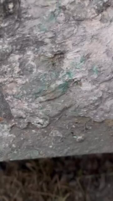 Workinprocess#ecopoesie#ecoart#slowart#kaiakiik