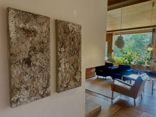 La veille du vernissage..

Mes œuvres ont pris place dans la Maison Louis Carré d’Alvar Aalto.

Les voir ici, au milieu du bois, de la lumière, de l’architecture et du paysage, est particulièrement émouvant pour moi.

Demain, samedi 26 septembre, nous inaugurons Arbres, nuages et autres corps, avec Emmy Bergsma, Binta Diaw, Guðný Rósa Ingimarsdóttir, Josefina Nelimarkka et moi-même. L’exposition sera ouverte au public du 27 septembre au 29 novembre 2026. 

Parmi les œuvres présentées se trouve mon Paysage de mémoire de la Maison Louis Carré : une œuvre née de matières, de fragments et de traces du lieu, puis transformée pendant des mois au contact de son climat.

Ici, la Maison n’est pas simplement un lieu d’exposition.
Elle entre dans l’œuvre. Elle en devient une matière et une mémoire.

Voici quelques premières images de mes œuvres dans la Maison. Je vous montrerai très bientôt davantage de l’exposition — et le travail magnifique des quatre autres artistes.

Maison Louis Carré, Bazoches-sur-Guyonne
27.09 — 29.11.2026

Toutes les informations sur l’exposition⁠￼

#KaiaKiik #PaysageDeMémoire #MaisonLouisCarré #AlvarAalto #ArbresNuagesEtAutresCorps